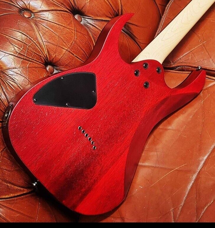 Customized guitar