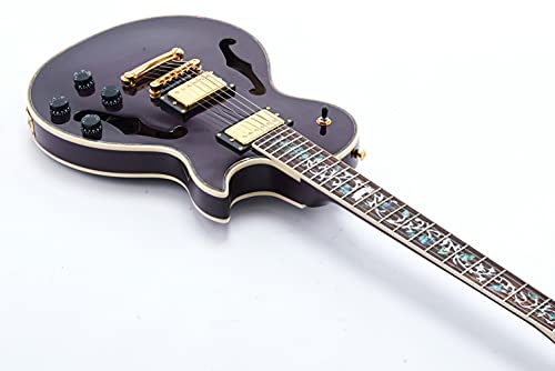 Starshine Electric Guitar Hollow Mahogany Body and Flamed Maple Top Veneer,Gold Hardware Double F Hole T-O-M Bridge (Purple Color)